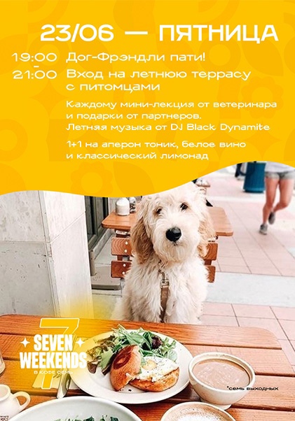 Дог-фрэндли пати